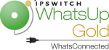 whatsupgoldwhatsconnected_small